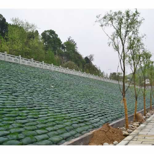 生態(tài)袋施工